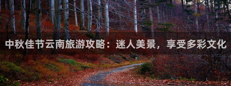 云顶国际集团游戏app