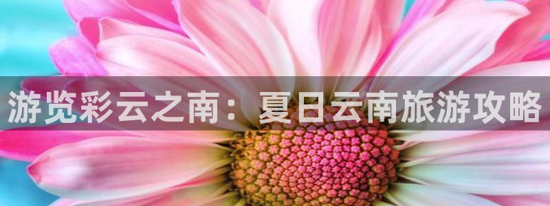 yd222云顶线路检测中心