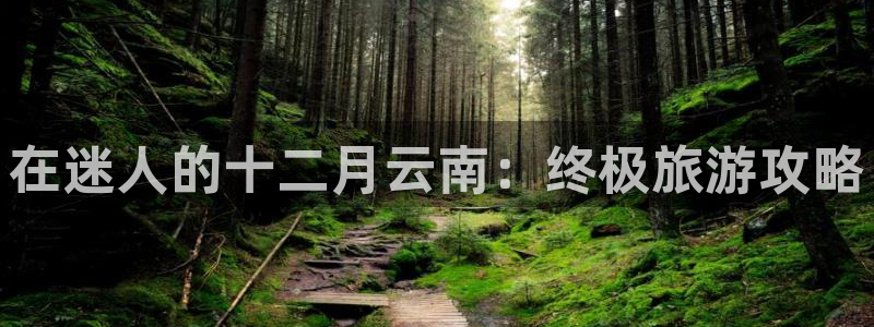 云顶集团最新官方网站