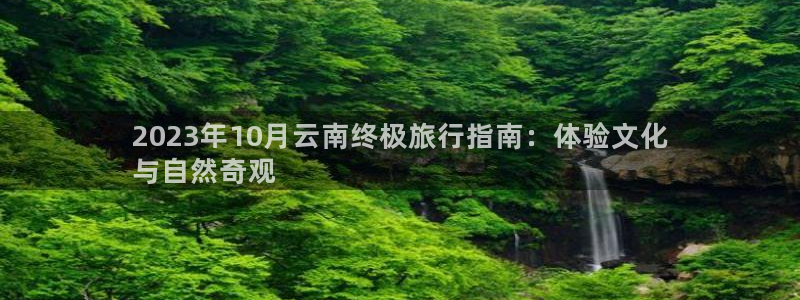 云顶国际平台网址多少