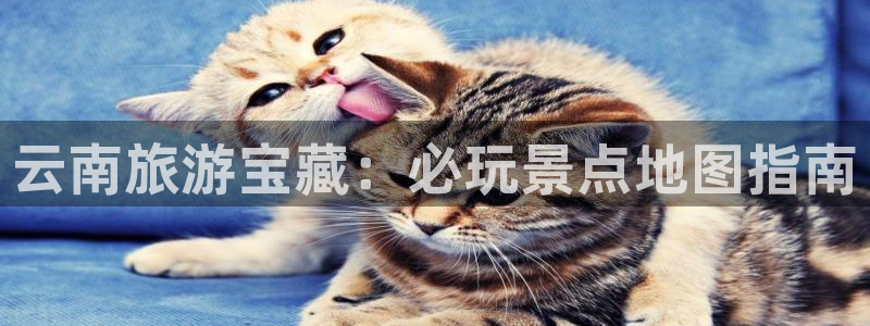 云顶集团官方网站入口