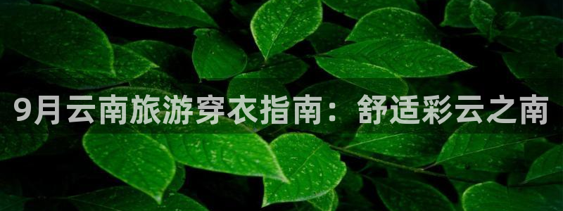 云顶国际官网下载