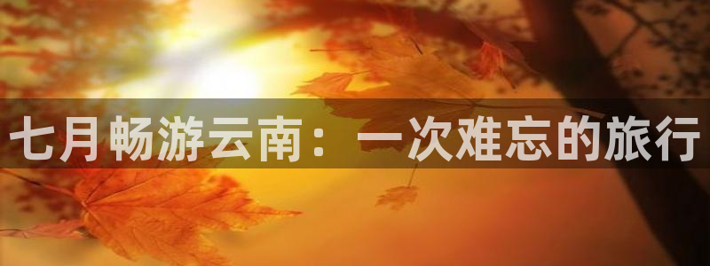 云顶3118客服网站