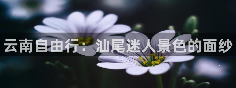 云顶注册送38的网站