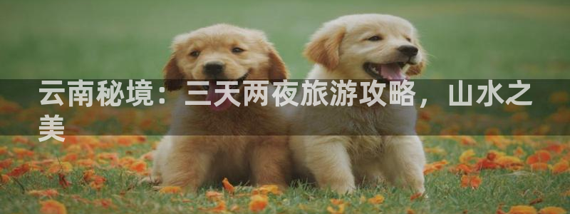 云顶集团3118acm登录入口