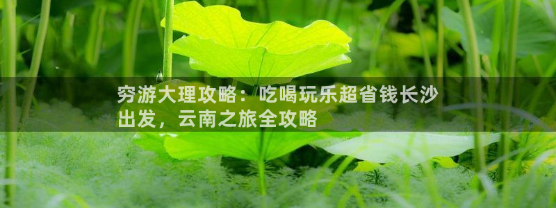 云顶集团官网登录入口下载